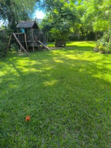 Quincho pileta el colibri